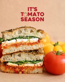 Sandwich with fresh bread, leafy greens, cheese, and tomato spread, placed next to red and yellow tomatoes.