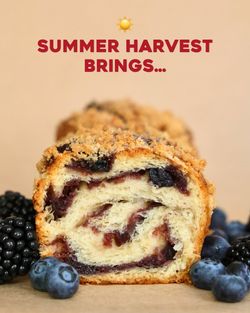 Babka pastry with berry filling, surrounded by blueberries and blackberries from Breads Bakery – Union Square.