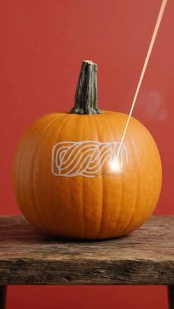 Pumpkin on wooden surface with Breads Bakery logo, symbolizing bakery's seasonal offerings and autumn atmosphere.