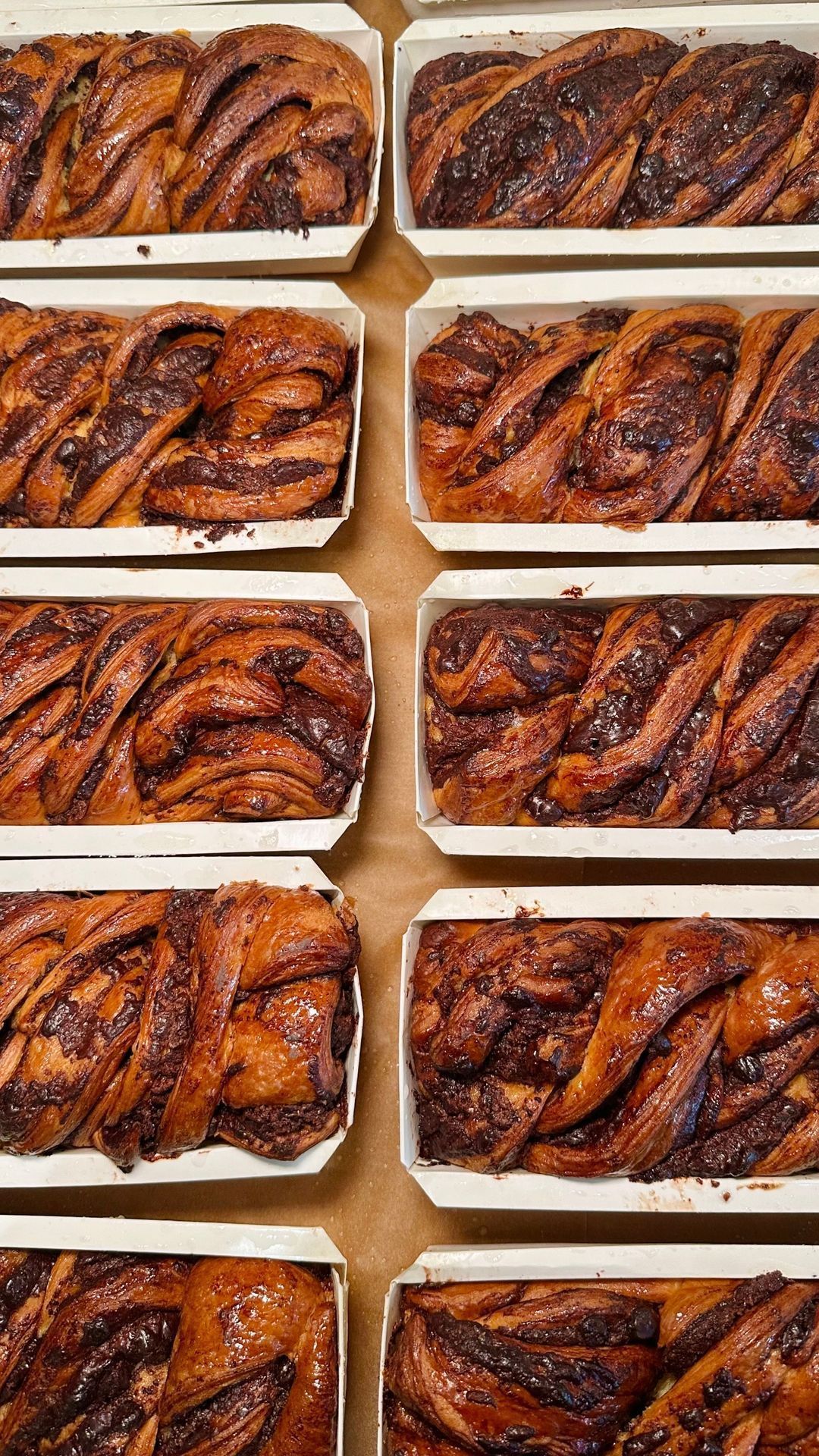 Deliciously twisted chocolate babka loaves arranged neatly in white trays, showcasing a golden-brown finish.